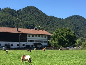 Exterior - Apartment no. 2 separate bedroom, living/bedroom and south/west-facing balcony, 75 sqm (Aschau im Chiemgau)