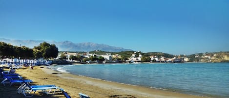 A beach with rows of blue lounge chairs, a sandy shore, and buildings in the background.