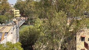 A river with a bridge, trees, and buildings in the background.