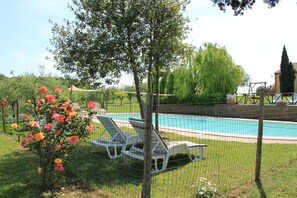 A swimming pool area with lounge chairs and a tree.
