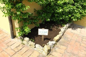 Detall de l'interior