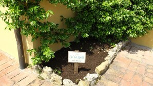 Un cantero con un cartel que dice 'Ca' Lo Spelli Il Chico', rodeado de pavimento de ladrillo y follaje verde.