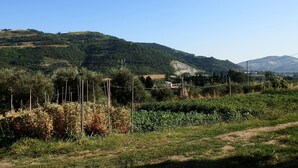 A rural landscape with rolling hills, a dirt path, and sparse vegetation. - Farmhouse in Modigliana With Scenic Views (Modigliana)
