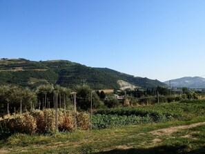 A rural landscape with rolling hills, a dirt path, and sparse vegetation. - Farmhouse in Modigliana With Scenic Views (Modigliana)