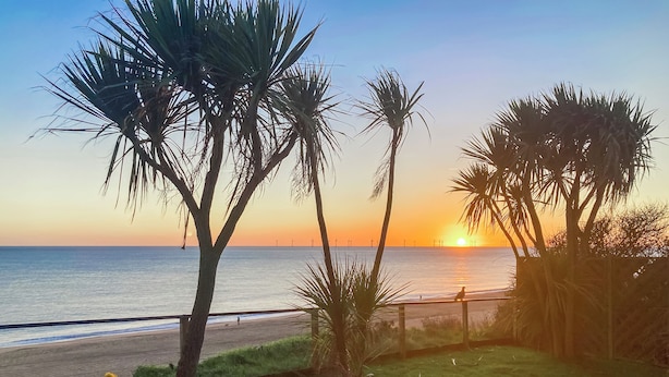 Vista de una playa con palmeras y un atardecer.