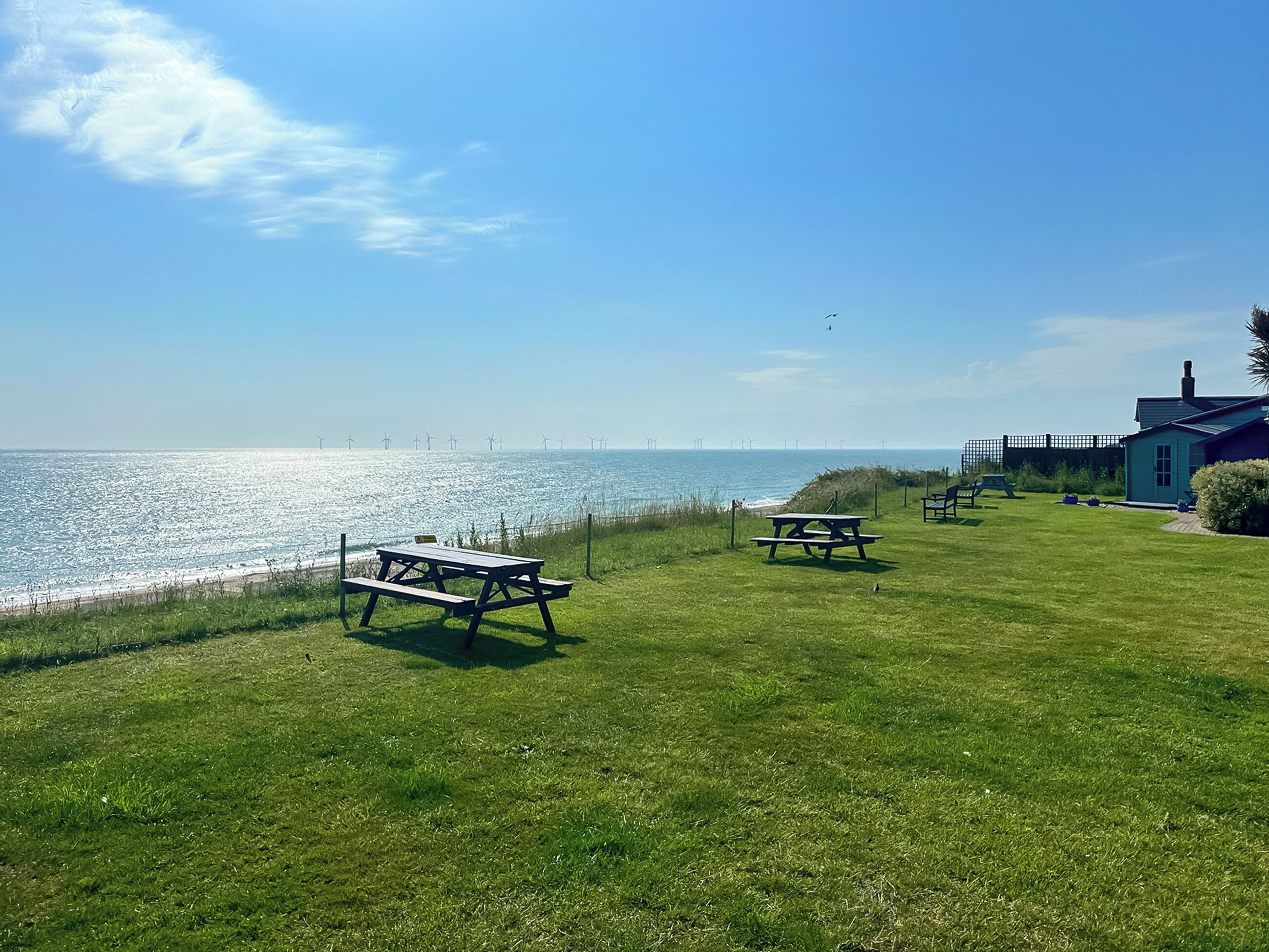 A grassy area with picnic tables and a view of the ocean.