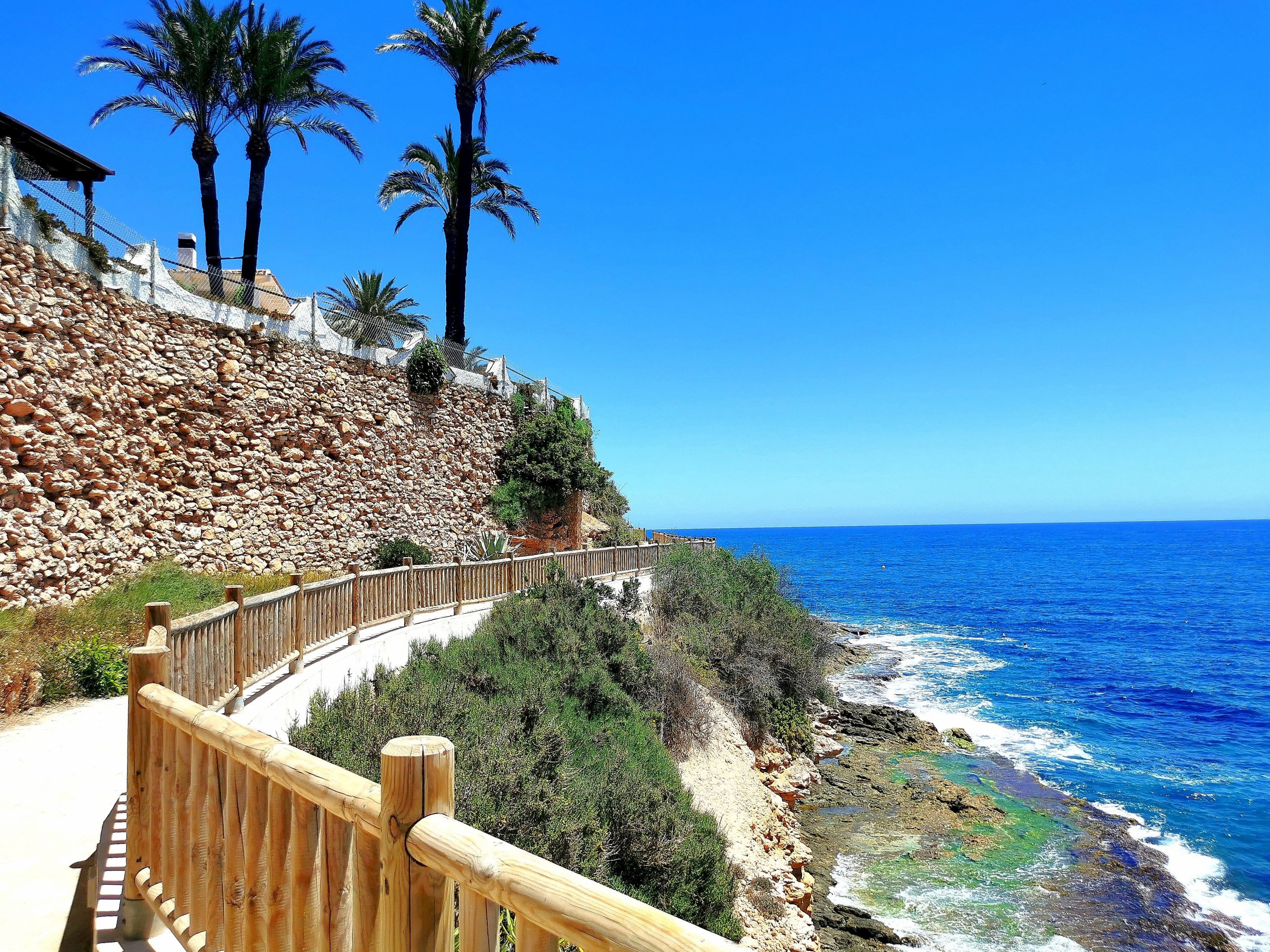 A coastal walkway with a stone wall, palm trees, and a wooden fence.