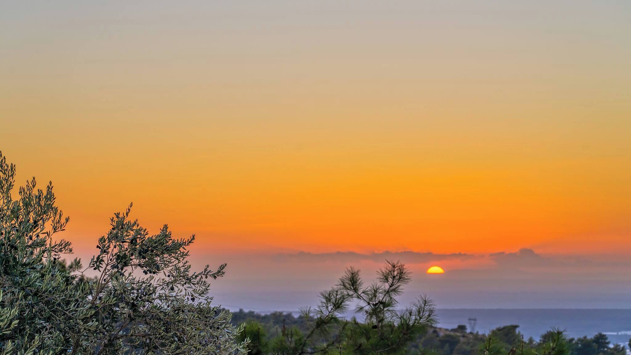 Ein Sonnenuntergang über einer Küstenlandschaft, im Vordergrund Bäume.