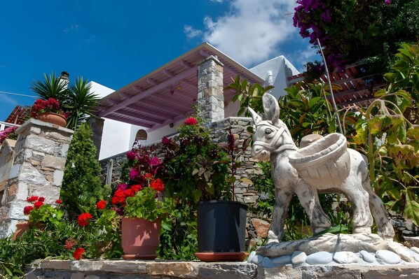 Détail de l’extérieur