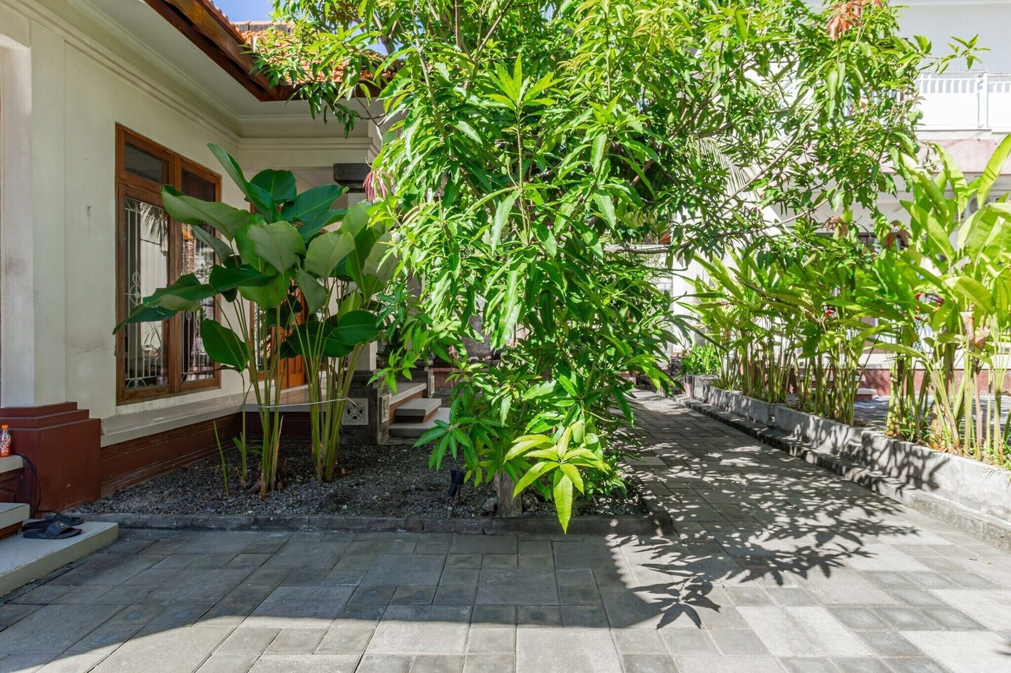 Garden [summer]
