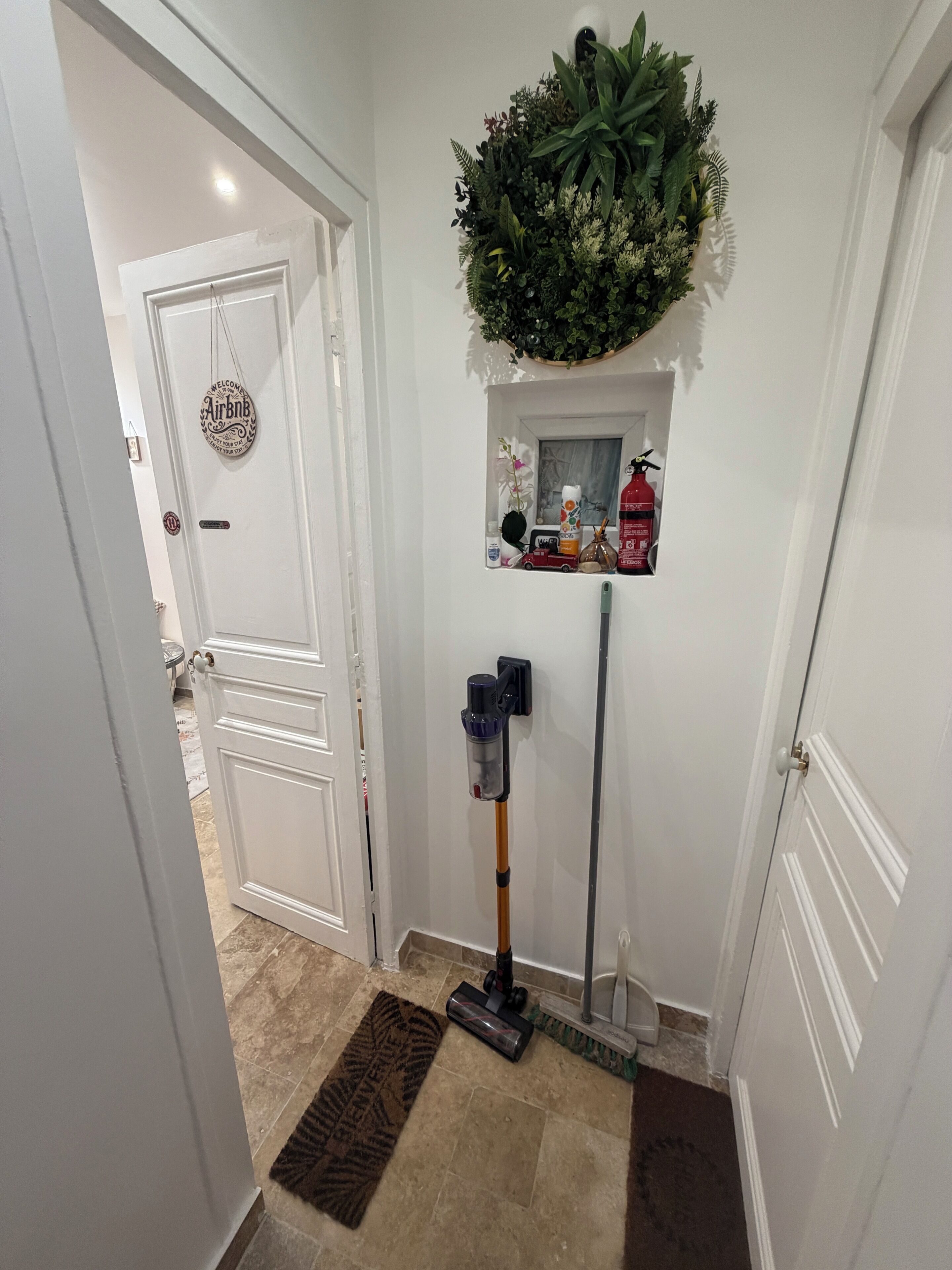 A hallway with a door, a wall-mounted plant, a small shelf with various items, and a vacuum cleaner.