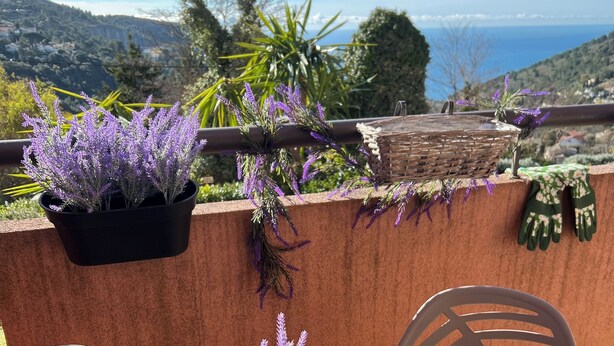 Una terraza con una mesa, sillas y plantas en macetas.
