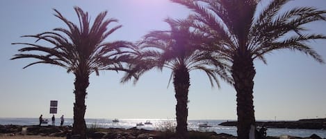 Beach nearby