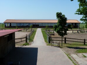 Property grounds - Holiday apartment on a horse farm with suckler cows in a quiet location on the outskirts of Bremen (Lilienthal)