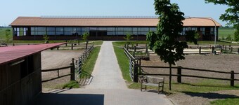 Holiday apartment on a horse farm with suckler cows in a quiet location on the outskirts of Bremen