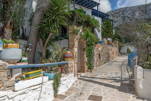 Un stretto sentiero in pietra conduce a un edificio con tetto blu e pareti bianche, immerso nel verde e decorato con piante in vaso.