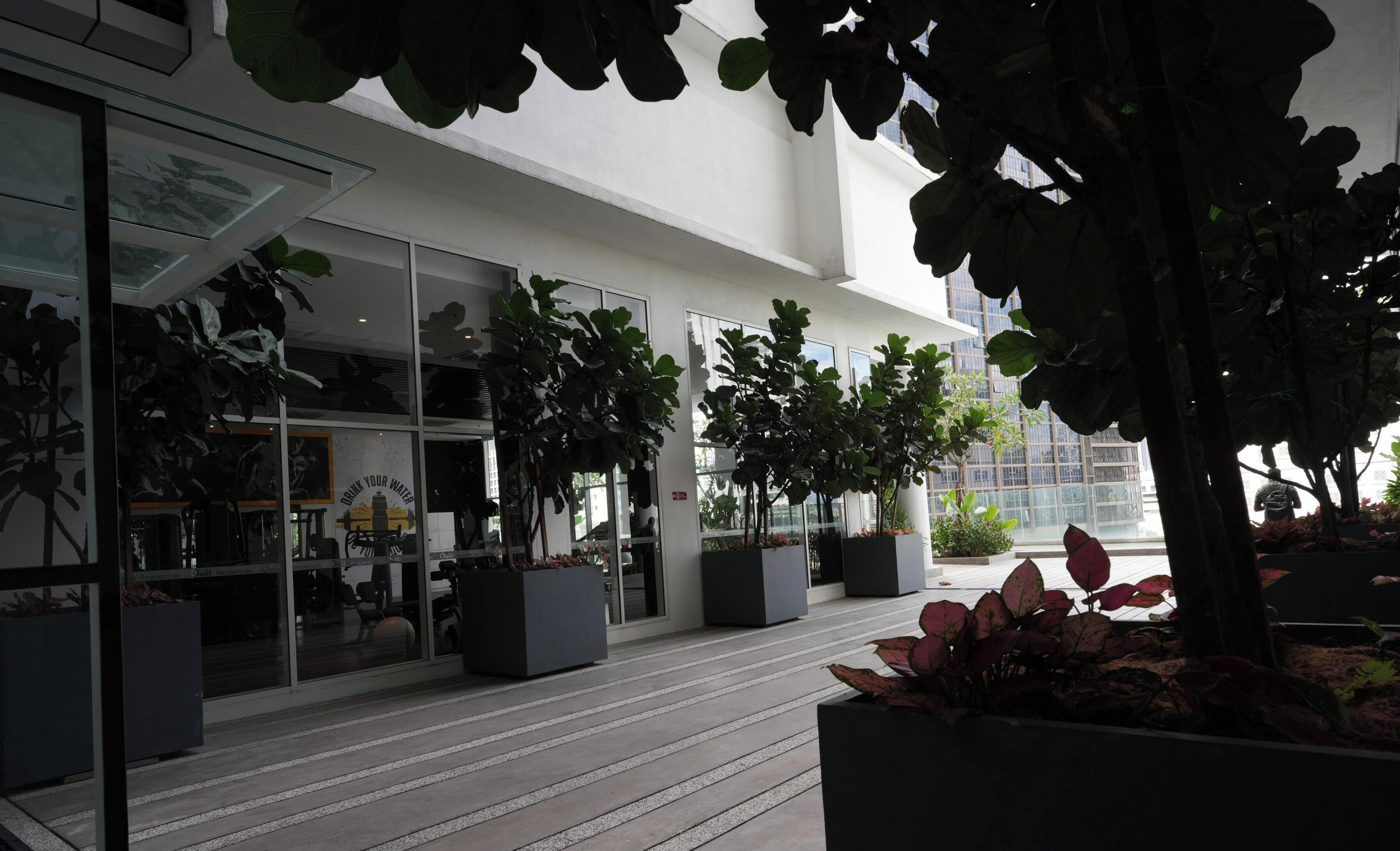 การตกแต่งภายนอก