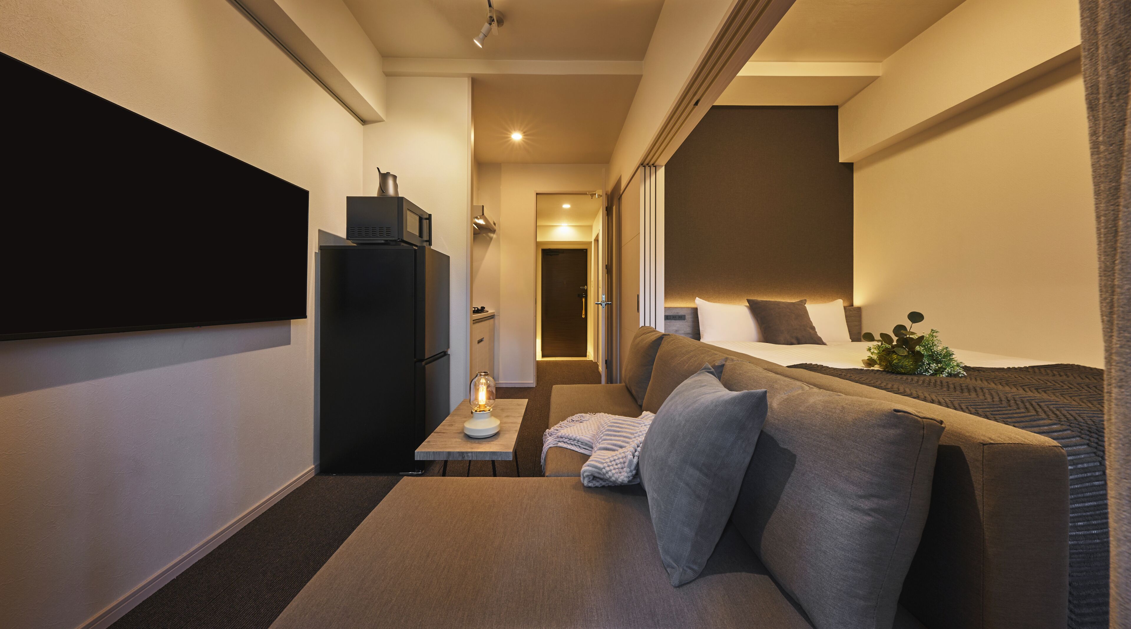 Flat-screen TV