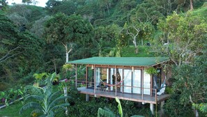 A wooden cabin with a green roof, surrounded by dense forest. It features a deck with seating and a hammock.