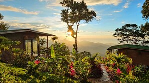Property grounds - private ocean view cabin on Minca Sintropia sustainable lodge & coffee finca (Minca)