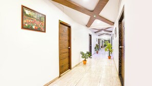 Un couloir avec une porte en bois, une plante en pot et un tableau encadré accroché au mur.