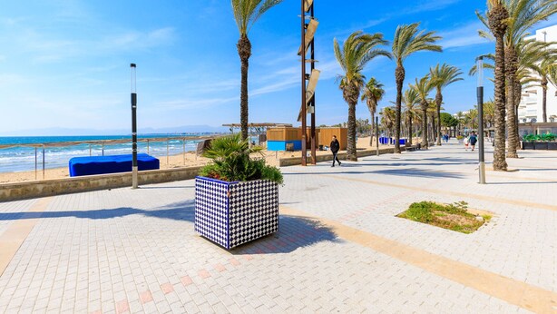 Ein Küstenweg mit Palmen, einem Strand und einem blauen, gemusterten Pflanzgefäß.