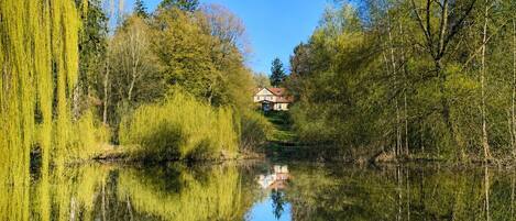 Una casa junto a un río tranquilo, bordeada por árboles frondosos.