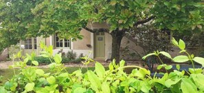 Exterior detail - Studio Rendez vous d'été (Champagné-Saint-Hilaire)