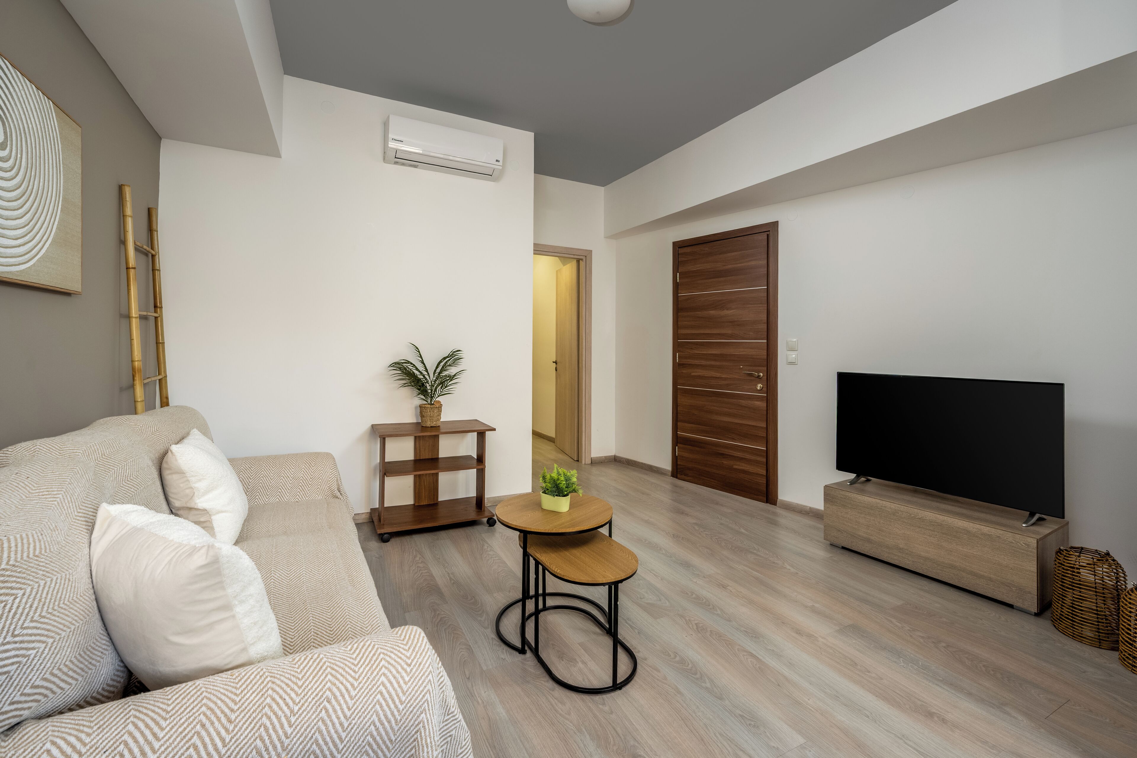 A modern living room with a sofa, a small table with a plant, a TV stand, and a wooden door.