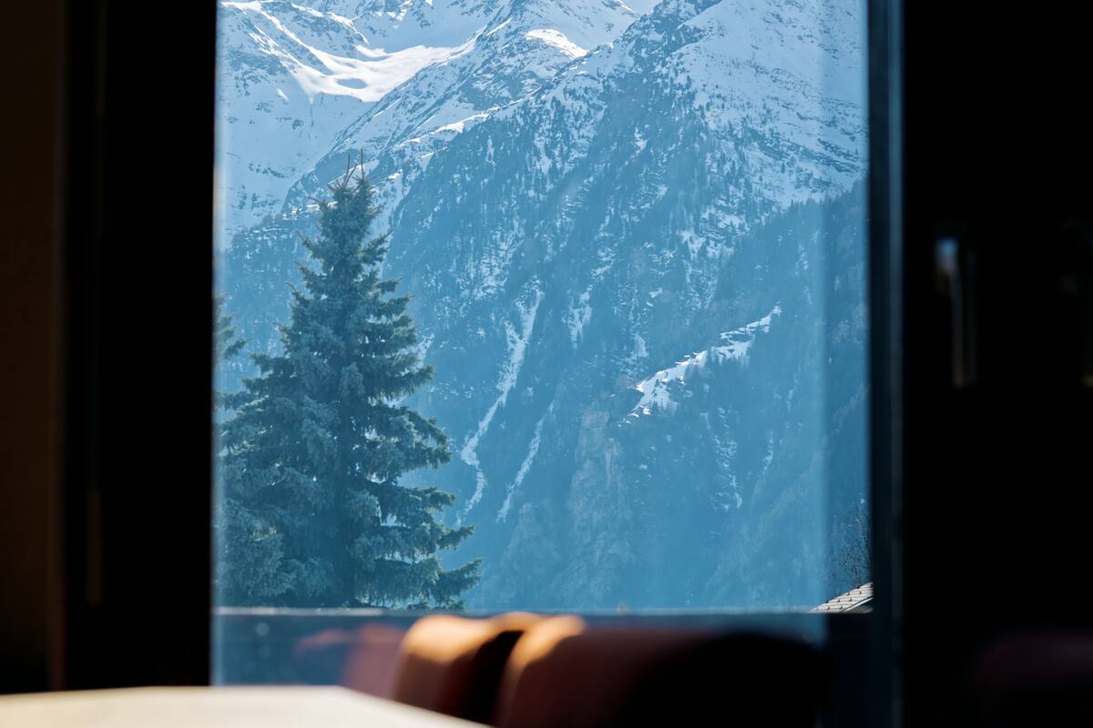 Una ventana con vistas a montañas nevadas y un pino.