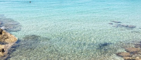 Una playa cerca