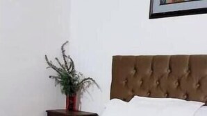 Un letto rifatto con cura, con una testiera marrone, una pianta in vaso su un comodino e un quadro appeso al muro.