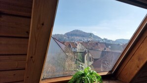 A skylight window with a view of a town, a green plant, and a building with a tower. - Holiday Home 'M B Homes Albstadt' with Mountain View, Private Terrace, Wi-Fi & Single Room (Albstadt)