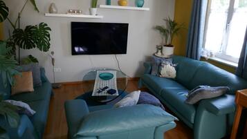 Fernseher