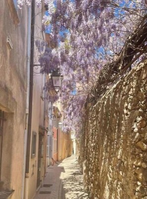 A narrow street with buildings on one side and a stone wall on the other, under a tree with purple flowers. - Lovely Charrons 1 - Large Studio 50 m from the Port, Centre Saint-Tropez (Saint-Tropez)