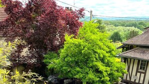 Una piscina con un patio circundante, una mesa y sillas, y un árbol grande de hojas rojas.