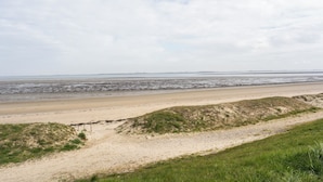 Une plage avec un rivage sablonneux et des dunes herbeuses.