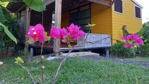 A yellow building with a wooden porch and large pink flowers in the foreground. - Charming Bungalow (Le Vauclin)