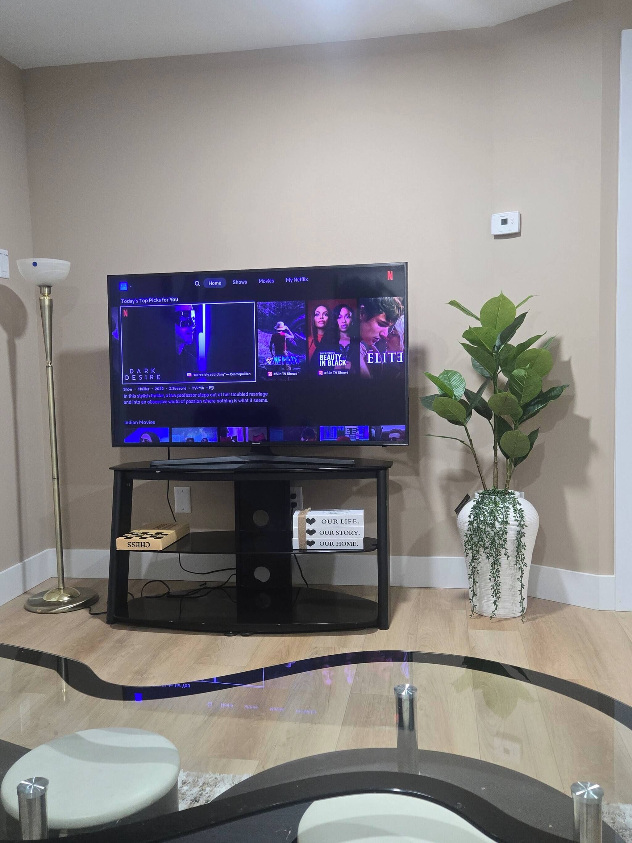 A living room with a flat-screen TV on a stand, a potted plant, and a floor lamp.