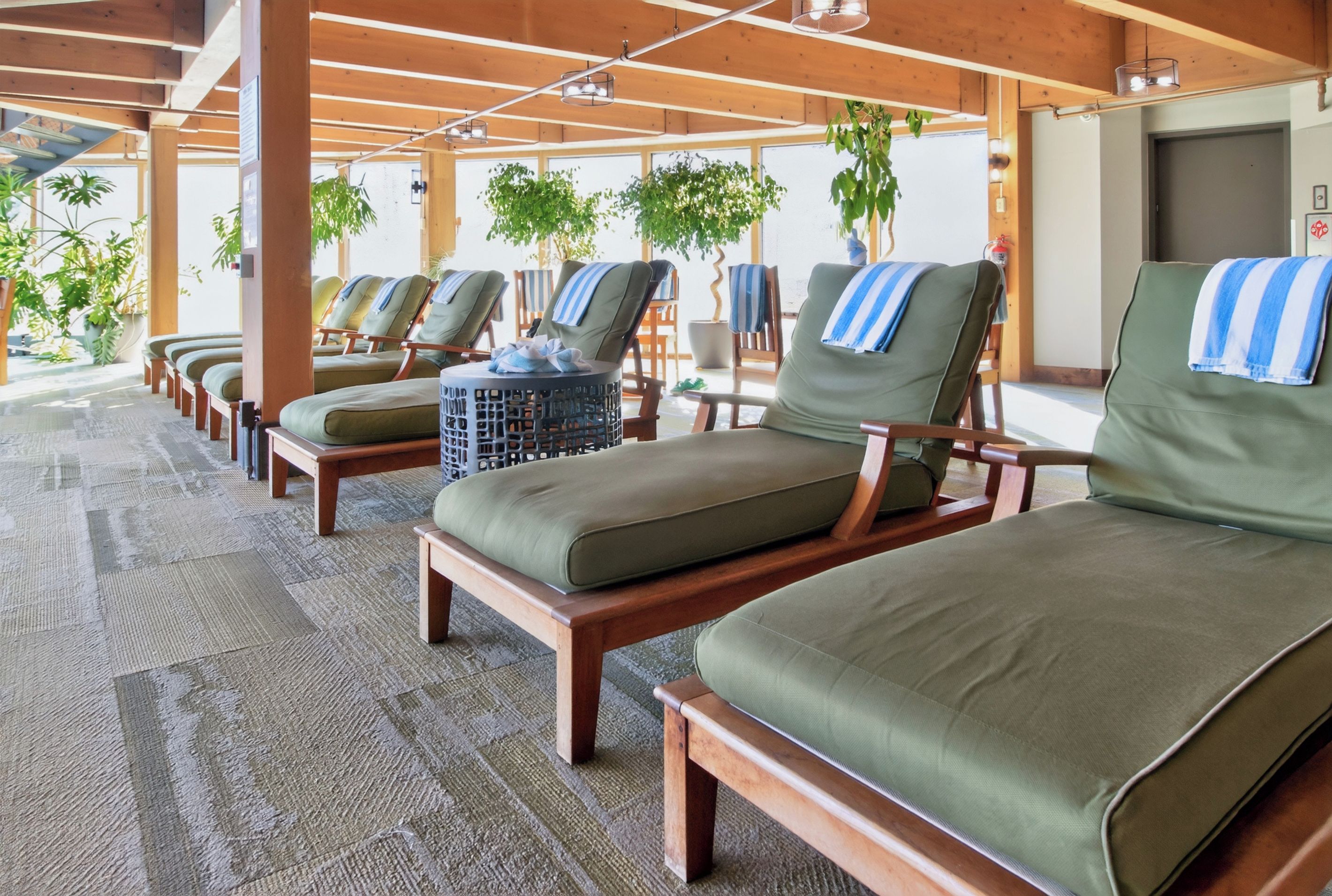 A sun lounge area with multiple lounge chairs and a small table, wooden flooring, and potted plants.