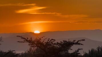 A sunset over mountains with a silhouette of trees in the foreground.