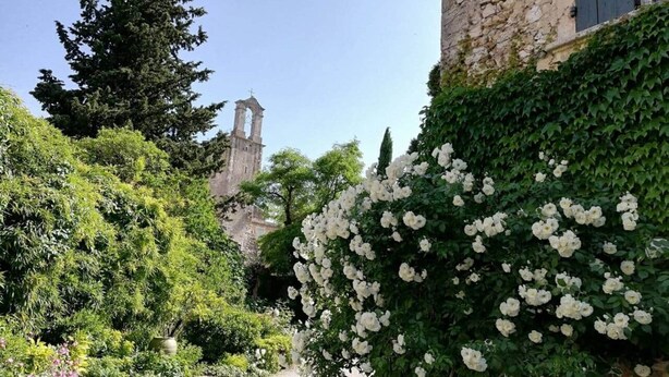 Un sendero en un jardín que lleva a un edificio de piedra con una torre al fondo.