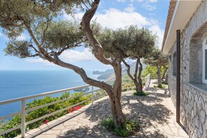 Property grounds - AMORE RENTALS - Villa Lantana. Silence, Nature & Panoramic Hot Tub (Massa Lubrense)