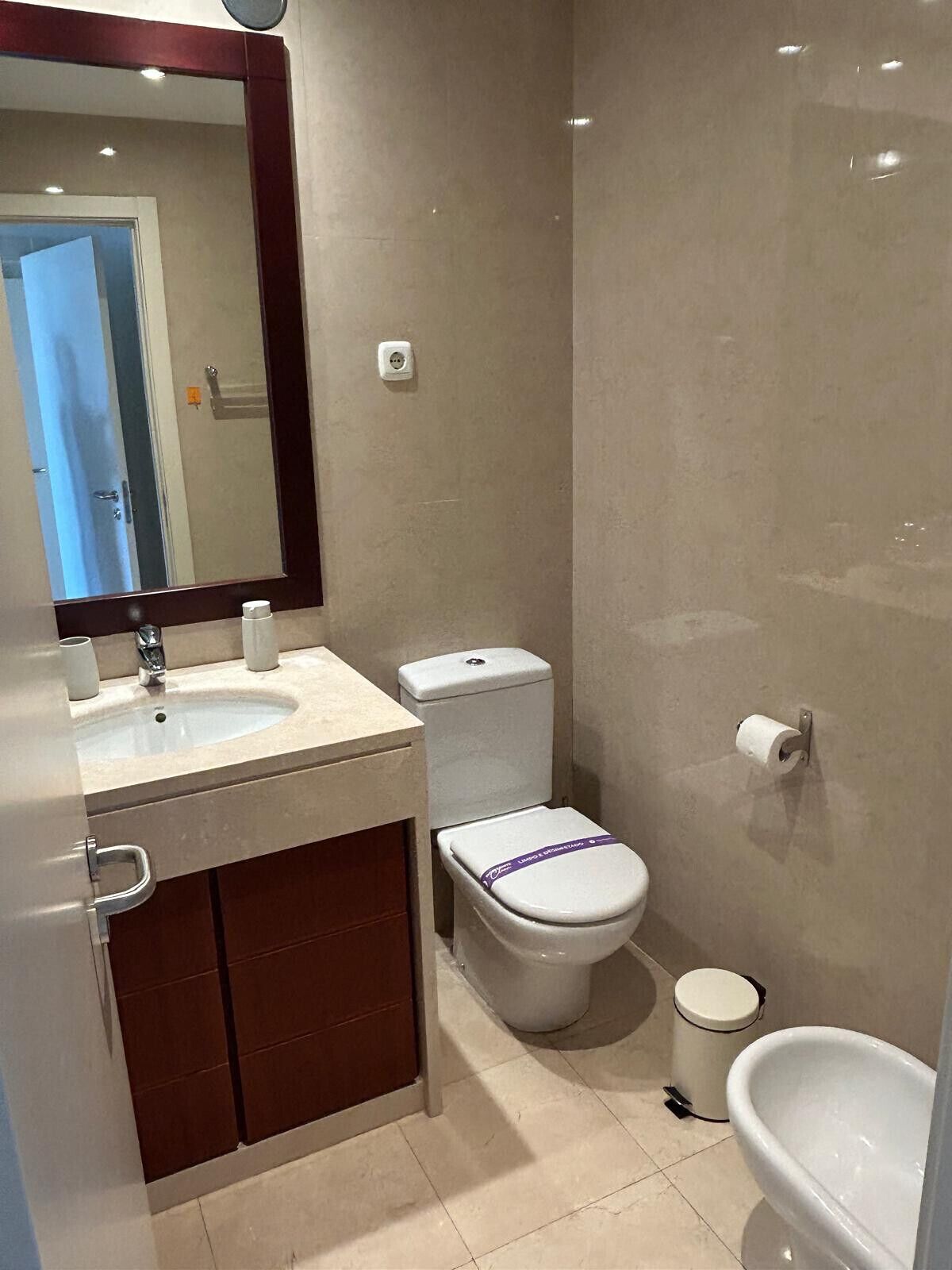 A bathroom with a sink, toilet, bidet, and mirror.