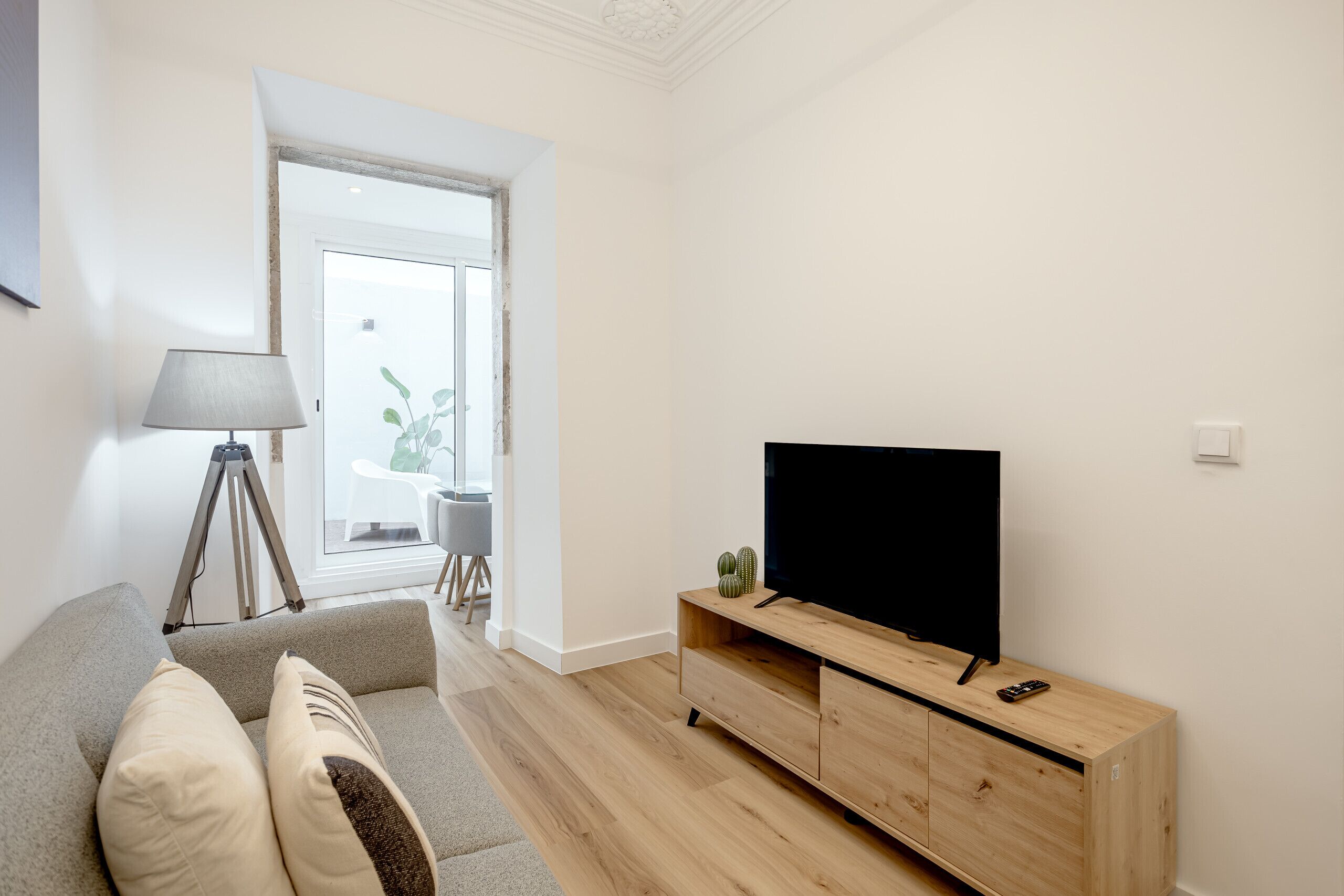 Een moderne woonkamer met een bank, een televisie op een houten meubel, een statief en een plant.