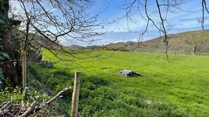 A grassy field with a wooden fence, a tree, and a metal structure. - Inglewood Bach (Conwy)