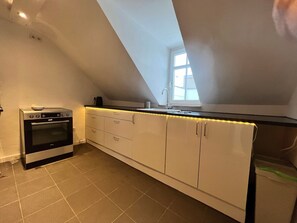 Private kitchen - Spacious 60 m² Apartment with Shared Garden & Wi-Fi in Emmendingen (Emmendingen)