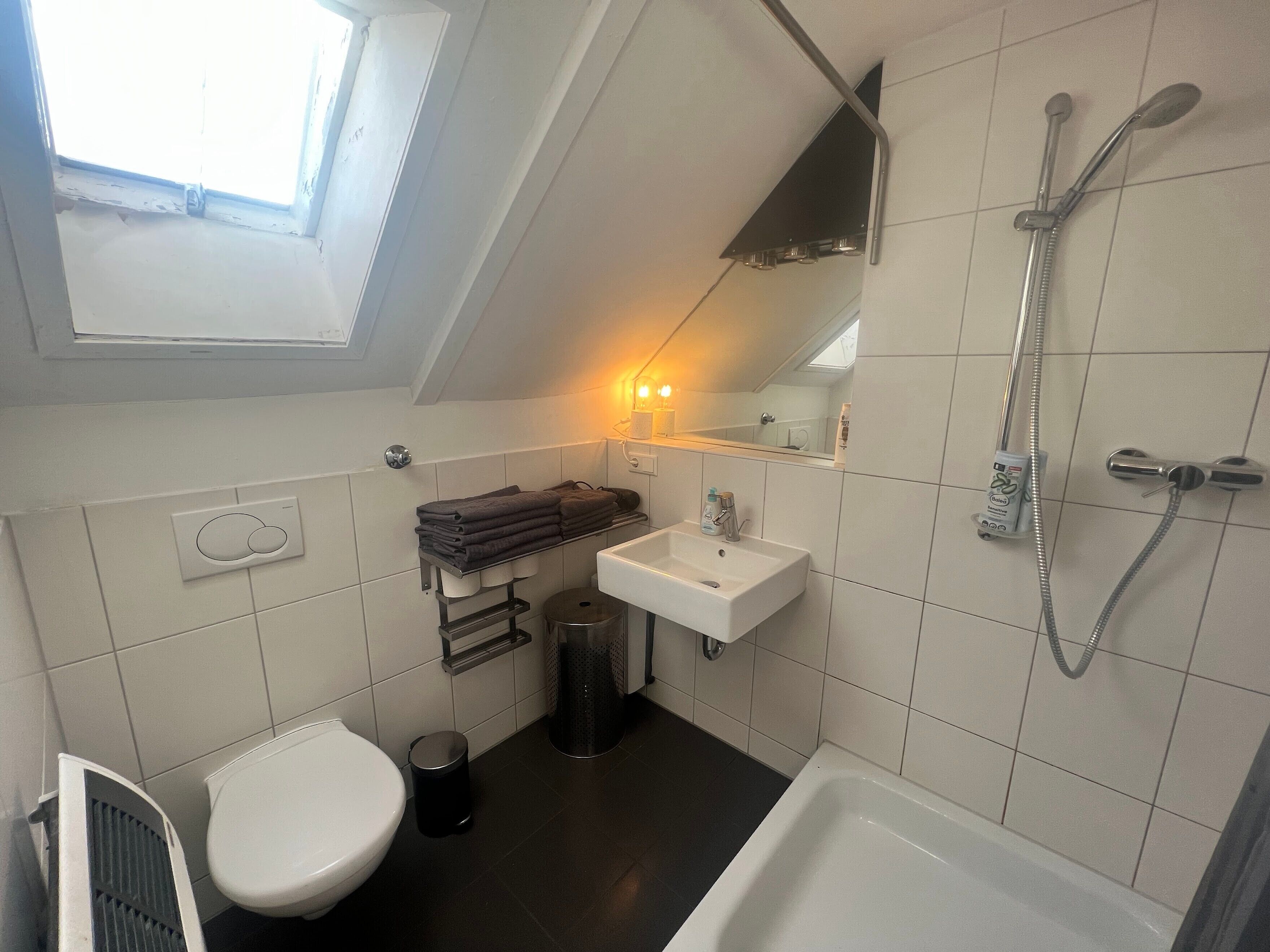Dusche, Haartrockner, Handtücher