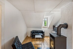TV - Spacious 60 m² Apartment with Shared Garden & Wi-Fi in Emmendingen (Emmendingen)