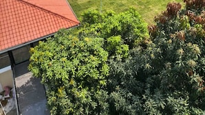 Une vaste cour ouverte, dotée d’une zone pavée et entourée de verdure et de bâtiments.